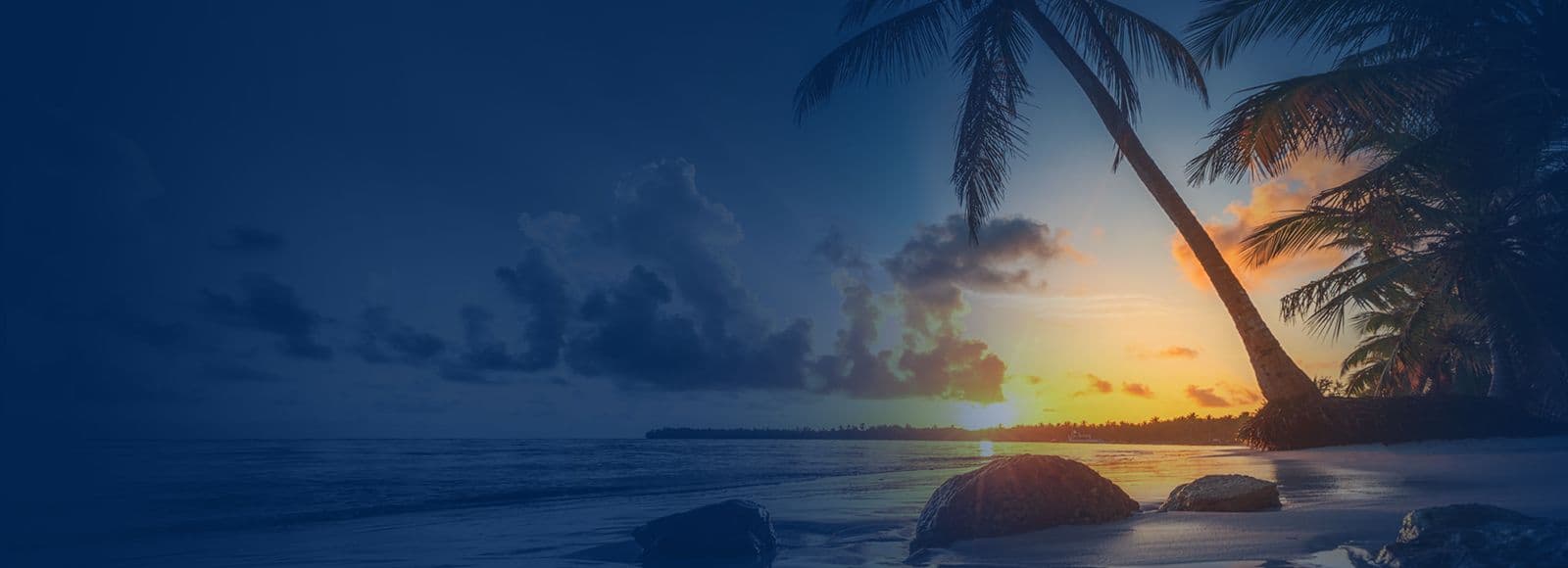Cruise Voucher