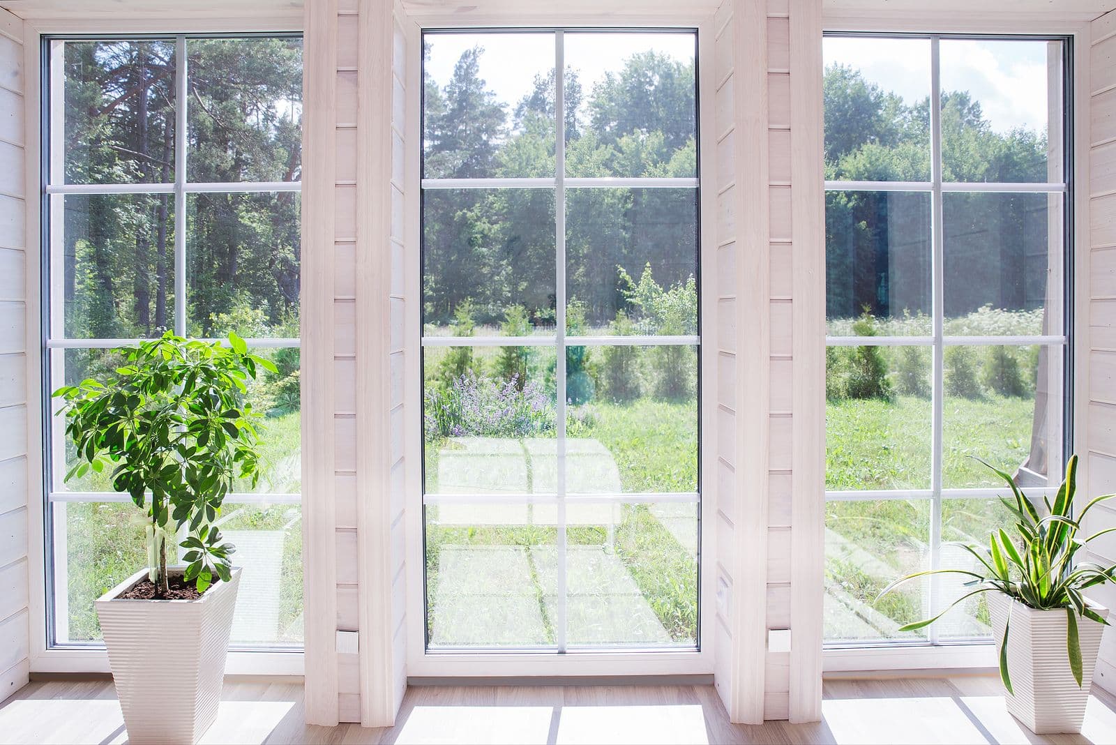 garden window plants 2