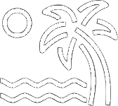 palm tree